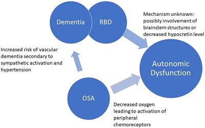 Sleep apnea and autonomic dysfunction in patients with dementia